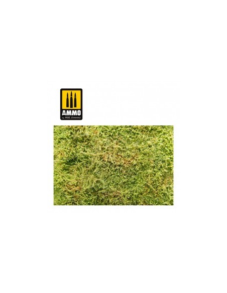 CAMPOS SILVESTRES CON ARBUSTOS - PRIMAVERA