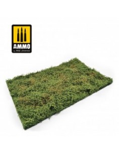 CAMPOS SILVESTRES CON ARBUSTOS - PRINCIPIOS DE VERANO