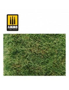 CAMPOS SILVESTRES CON ARBUSTOS - PRINCIPIOS DE VERANO 2