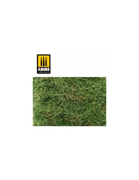 CAMPOS SILVESTRES CON ARBUSTOS - PRINCIPIOS DE VERANO