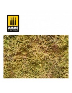 CAMPOS SILVESTRES CON ARBUSTOS - FINALES DE VERANO 2