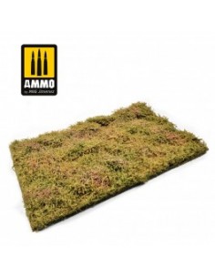 CAMPOS SILVESTRES CON ARBUSTOS - FINALES DE VERANO