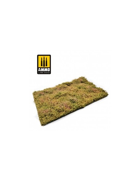 CAMPOS SILVESTRES CON ARBUSTOS - FINALES DE VERANO