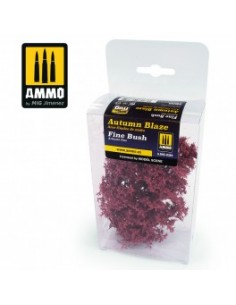 ARBUSTO FINO – ARCE FINALES DE OTOÑO