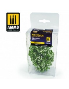 MATORRALES – MATORRAL CON FLORES BLANCAS