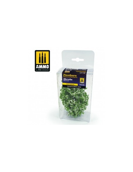 MATORRALES – MATORRAL CON FLORES BLANCAS