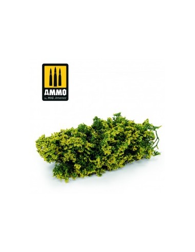 MATORRALES – MATORRAL CON FLORES AMARILLAS