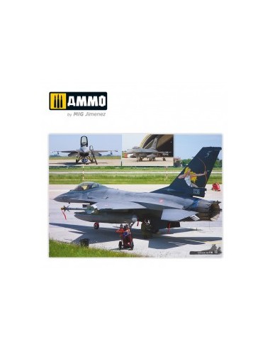 F-16 FIGHTING FALCON / VIPER. GUIA VISUAL DE...