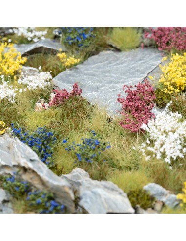 CONJUNTO DE FLORES SILVESTRES