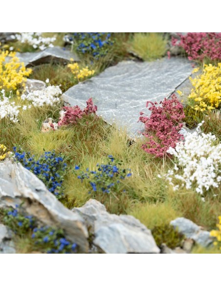 CONJUNTO DE FLORES SILVESTRES