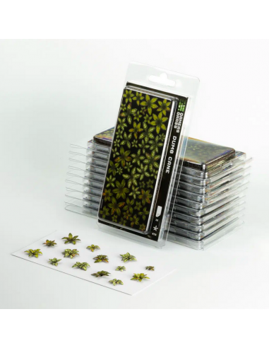 LASER PLANTS - DUMB CANE