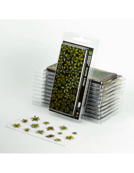 LASER PLANTS - DUMB CANE