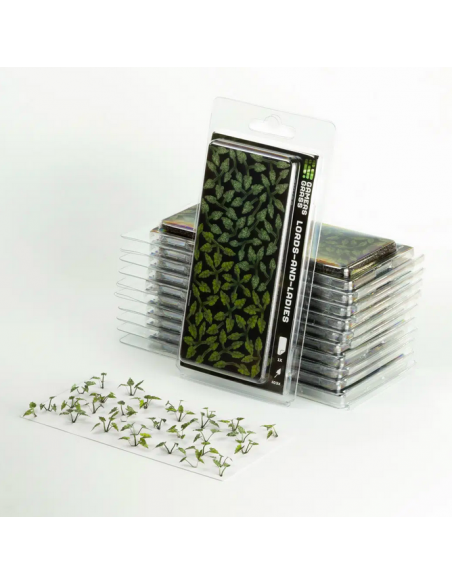 LASER PLANTS - LORDS AND LADIES