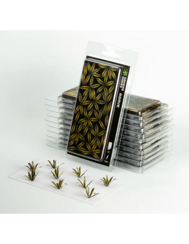 LASER PLANTS - AGAVE