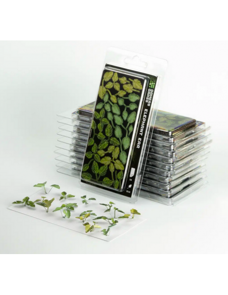 LASER PLANTS - OREJA DE ELEFANTE