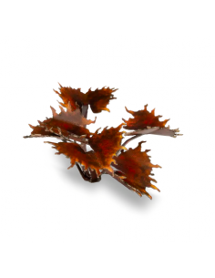 LASER PLANTS - ATRAPAMOSCAS ALIENÍGENA 2