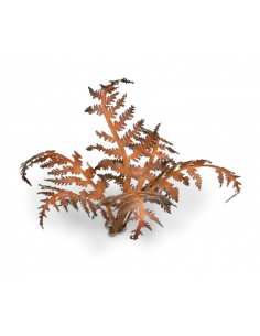 LASER PLANTS - HELECHO SECO 2