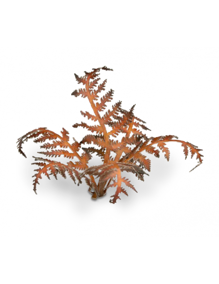 LASER PLANTS - HELECHO SECO