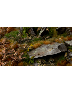 LASER PLANTS - HELECHO SECO