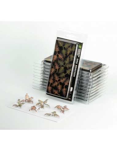 LASER PLANTS - HELECHO SECO