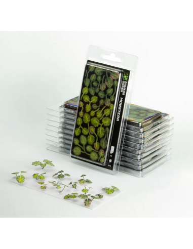 LASER PLANTS - MONSTERA