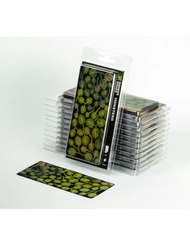 LASER PLANTS - MONSTERA