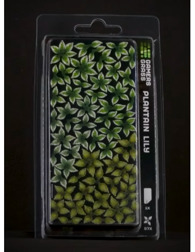 LASER PLANTS - PLANTAIN LILY