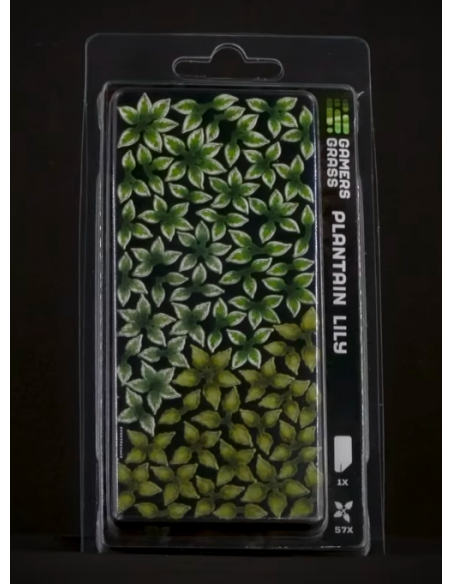 LASER PLANTS - PLANTAIN LILY