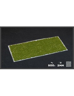VERDE SECO DIMINUTO (2 mm) 2