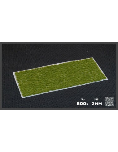 VERDE SECO DIMINUTO (2 mm)