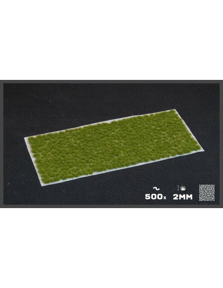 VERDE SECO DIMINUTO (2 mm)