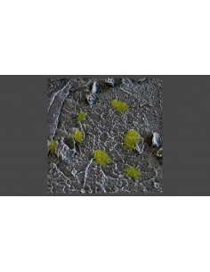 VERDE SECO DIMINUTO (2 mm)