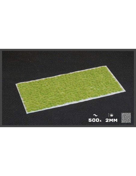 VERDE CLARO DIMINUTO (2 mm)