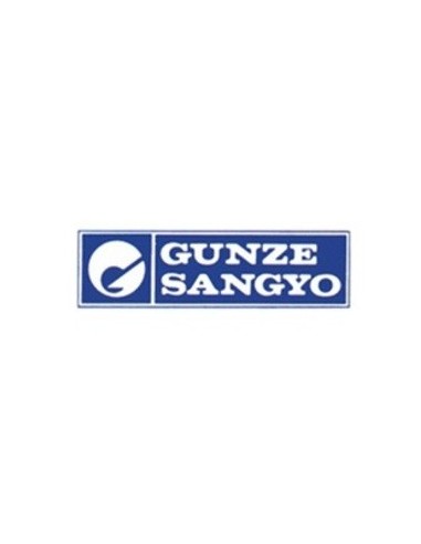 GUNZE SANGIO