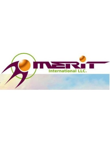 MERIT INTERNATYIONAL