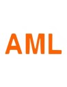 AML MODELS