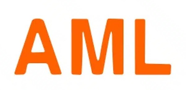 AML MODELS